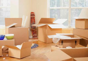 Digital Packers and Movers
